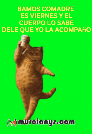 Feliz Tomando GIF by Murcianys LLC
