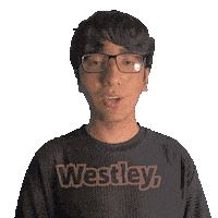 Wesley Sticker