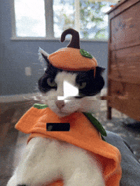 Halloween Fall GIF