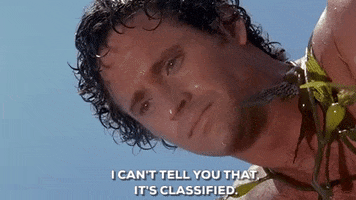 cant tell Robert Hays GIF