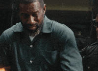 tkamseries gossip paparazzi tkam tkamseries GIF