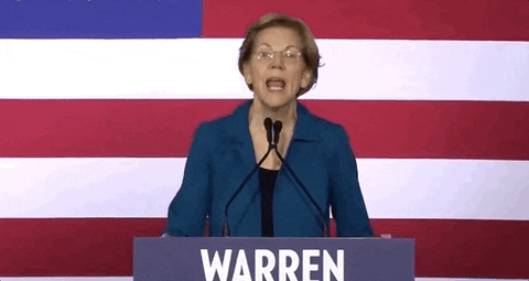 Elizabeth Warren GIF by Election 2020