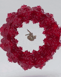 Hafid3D GIF