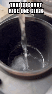 Thai Coconut Rice, One Click | Rice Robot