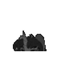 Ada Sticker