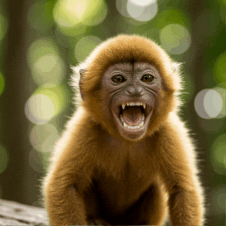 Laugh Smile GIF by Salih Kizilkaya