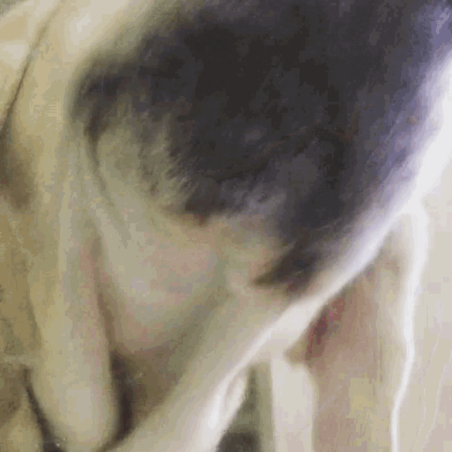 WaterLink89 giphyupload GIF