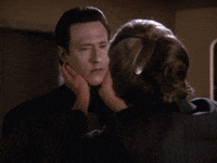 Star Trek Data GIF