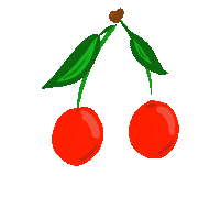 Food Fruit Sticker