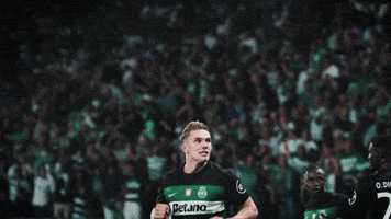 Football Soccer GIF by Sporting CP