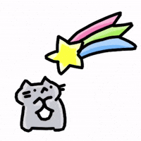 Shooting Star Cat GIF