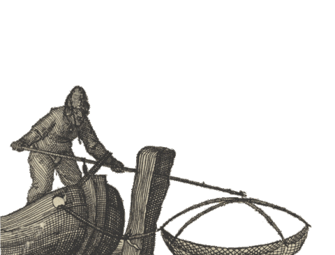 Fish Fishing Sticker