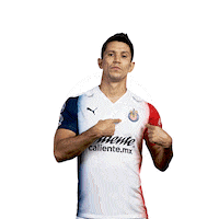 Rebano Sagrado Guadalajara Sticker by PUMA