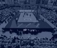 Celebration Applause GIF by SSCPalmbergSchwerin