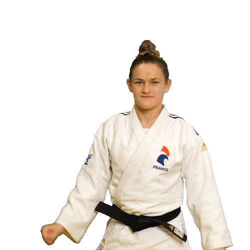 Happy Celebration Sticker by France Judo