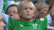 fan bundesliga GIF by SV Werder Bremen