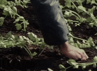 Farmer Agriculture GIF by Archives of Ontario | Archives publiques de l'Ontario
