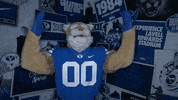 Byu Football Goal GIF by BYU Cougars