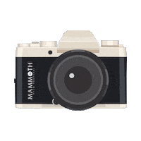 Sticker by Mammoth Film Festival