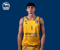 Basketball Easycredit Bbl GIF by ALBA BERLIN