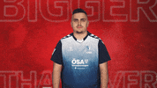 Vbl Club Logo GIF by Bundesliga