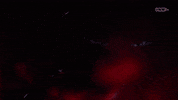 Luna Vachon Wrestling GIF by DARK SIDE OF THE RING