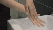 Wash Hands Safety GIF