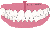 Dentistdoodles Sticker