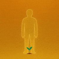 Gold World GIF by WeQuorum