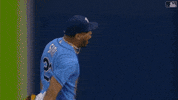 Major League Baseball Sport GIF by MLB
