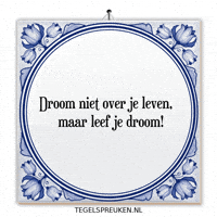 Nl Wijsheid GIF by Tegelspreuken.nl