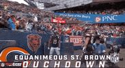 Regular Season Football GIF by NFL