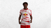 Football Soccer GIF by RB Leipzig