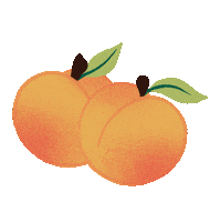 blushlane local shop local peaches produce Sticker