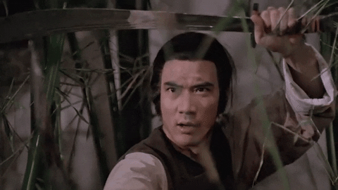 martial arts shaolin mantis GIF by Shaw Brothers