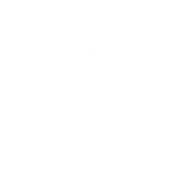 Lines Sticker