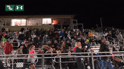 tribeathletics gotribe tribeathletics otod william mary soccer GIF