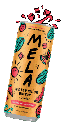 Watermelon Ginger Sticker by Mela Water