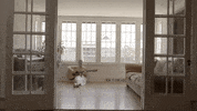 Music Video La GIF by Topshelf Records