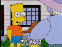 bart simpson episode 13 GIF