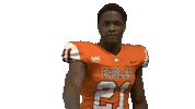 Cnfb Sticker by Carson-Newman Athletics