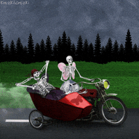 travel death GIF by Kiszkiloszki