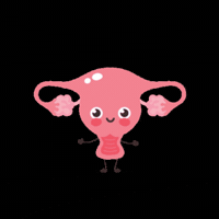 Uterus GIF by Society of Gynecologic Oncology (SGO)/Foundation for Women's Cancer (FWC)