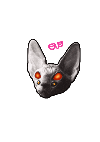 Cat Animation Sticker