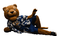 Beach Waiting Sticker by Florida International University