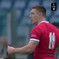 Wales Rugby Thumbs Up GIF by Guinness Six Nations
