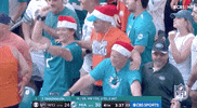 Miami Dolphins Football GIF by NFL