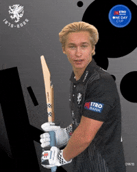 Fin Cricketer GIF by Somerset County Cricket Club