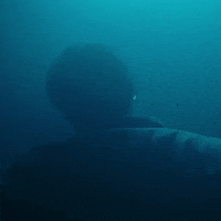 GIF by BJ The Chicago Kid