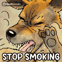 Dog Smoking GIF by VeeFriends